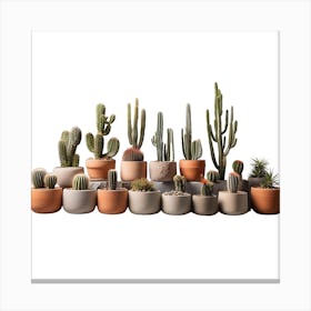 Cactus Collection Canvas Print