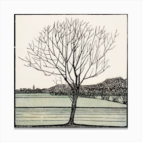 Bald Tree, Julie De Graag Canvas Print