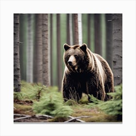 Brown Bear In The Forest 5 Canvas Print