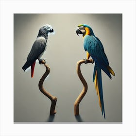 Parrots 2 Canvas Print