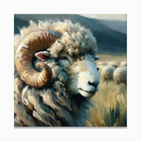 Merino Ram Canvas Print