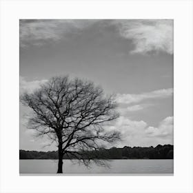 Lone Tree 1 Canvas Print