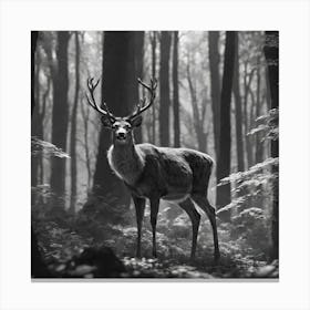 Deer In The Forest 235 Canvas Print