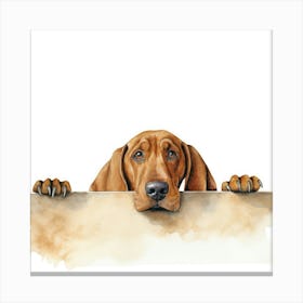 Hound Dog 5 Canvas Print