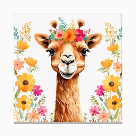 Floral Baby Camel Nursery Illustration (10) Canvas Print