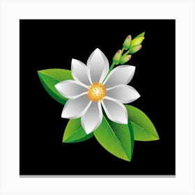 White Flower On Black Background Canvas Print