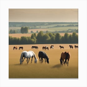 Horses Grazing In A Field 9 Canvas Print