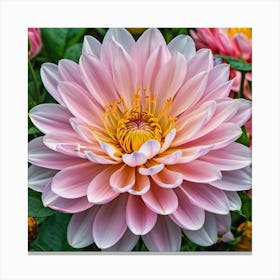 Dahlia 6 Canvas Print