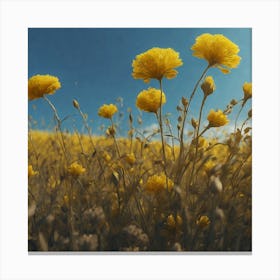 Field Of Yellow Flowers 40 Canvas Print