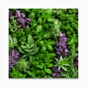 Herbs As A Background (87) Canvas Print