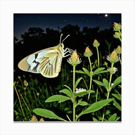 Butterfly At Night 2 Canvas Print