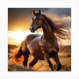 Horse Galloping At Sunset Canvas Print