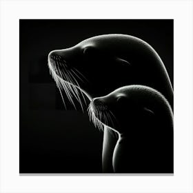 Portrait Of A Sea Lion Canvas Print