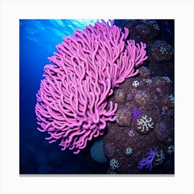 Coral Reef43 Canvas Print