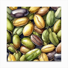Watercolor Coffee Beans Canvas Print