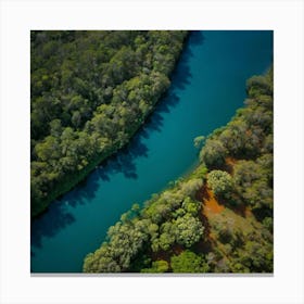 Brazilian Forest Canvas Print