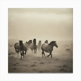 Horses wild and free Canvas Print