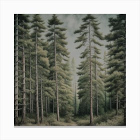 Pine Forest Canvas Print