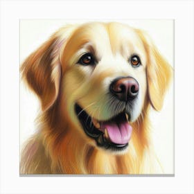 Golden Retriever portrait in crayon Canvas Print