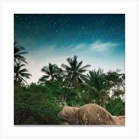 Palm Trees Starry Sky Stones Wallpaper 1024x1024 Canvas Print