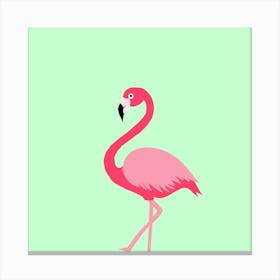 Flamingo On Mint Canvas Print