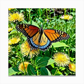 Butterflies Insect Lepidoptera Wings Antenna Colorful Flutter Nectar Pollen Metamorphosis Canvas Print