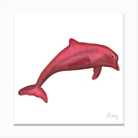 Pink Dolphin. Canvas Print