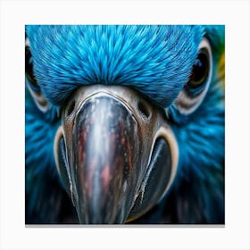 Vibrant Vision: A Close-Up of Nature’s Palette Canvas Print