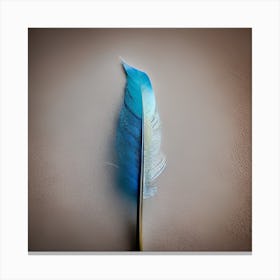 Blue Feather Canvas Print