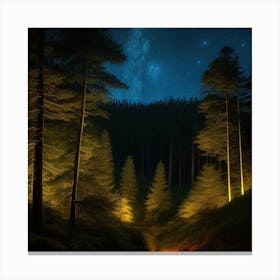 Forest At Night 1 Canvas Print