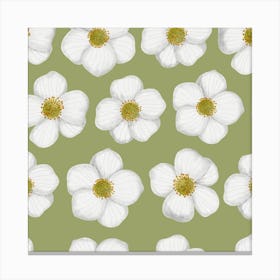 Big white flowers Canvas Print