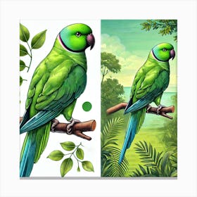 Parrots Canvas Print