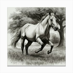 Horse Galloping 2 Canvas Print