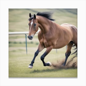 Galloping Horse 2 Canvas Print