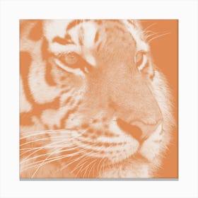 Tiger Pastel Salmon Square Canvas Print