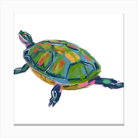 Painted Turtle 06 Canvas Print