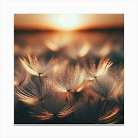 Dandelion At Sunset Canvas Print