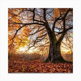 Autumn Tree Canvas Print