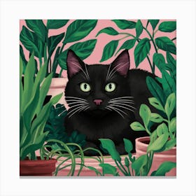 Black Cat In Pots 2 Canvas Print