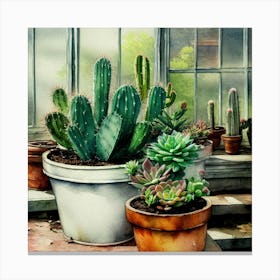 Cacti And Succulents 7 Canvas Print