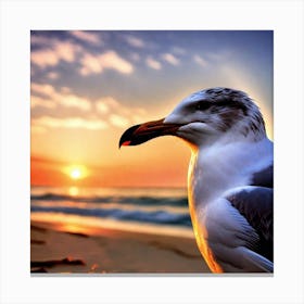 Seagull At Sunset Canvas Print