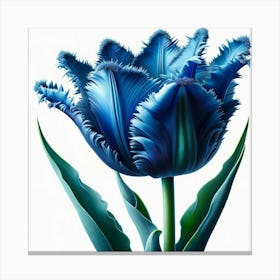 Blue Tulip Canvas Print