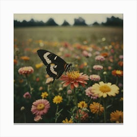 Butterfly In A Field 1 Canvas Print