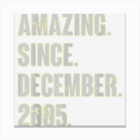 Amazing Since December 2005 17 Year Old 17th Birthday Funny Canvas Print