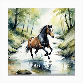 Horse Running In The Stream Canvas Print