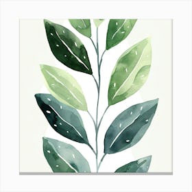 Green Leaf Watercolor Painting 1 Canvas Print