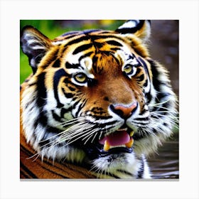 Tiger 11 Canvas Print