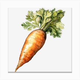 Carrot Canvas Print