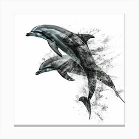 Canvas dolphins Canvas Print