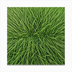 Grass Flat Surface For Background Use (12) Canvas Print
